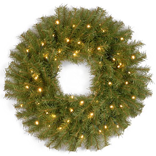 National Tree 24 Inch Norwood Fir Wreath with 50 Battery Operated Dual LED Lights (NF-304D-24WB-1)