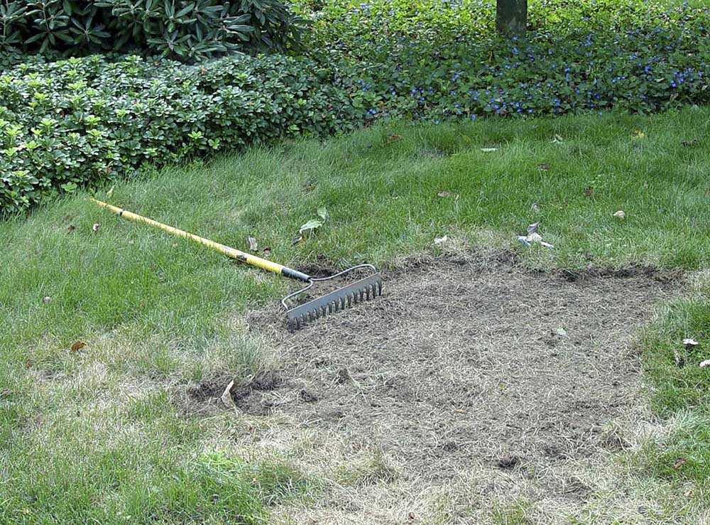 How to Remove Grass From The Garden - Raking