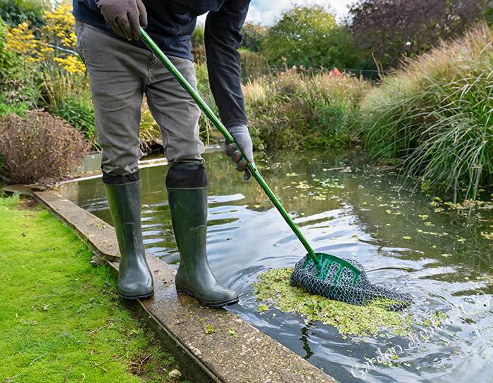 Man cleaning Blanket Weed from a Fishpond