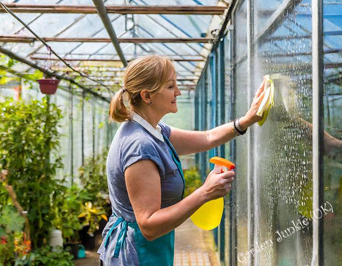 Gardening Month by Month – November lady scrubbing greenhouse glass