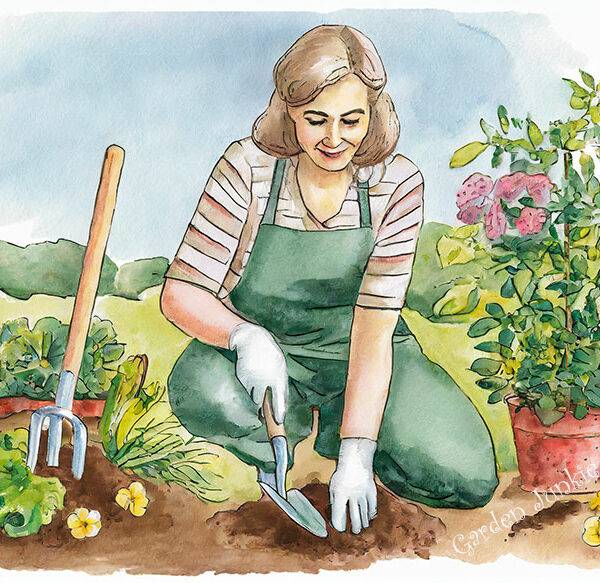 Garden Hand Tools - Person on knees with small trowel and fork in the garden