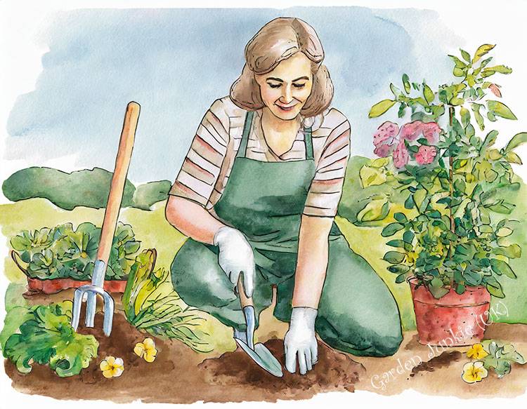 Garden Hand Tools -  Person on knees with small trowel and fork in the garden
